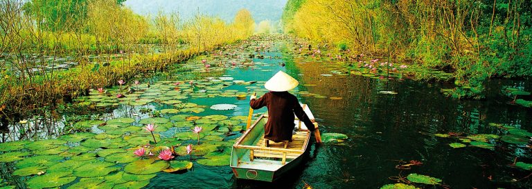 “Travel to Vietnam” is more popular in China