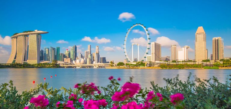 Marketing Guide to Attract Chinese Tourists to Singapore