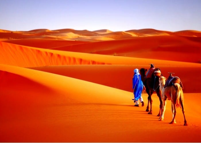 Chinese Tourists in Morocco: Opportunities for Travel Professionals