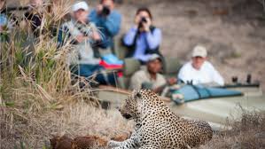 South Africa, Smart Digital strategy to attract Chinese Tourists